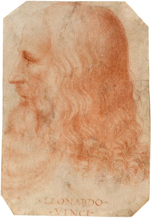 Retrato de Da Vinci